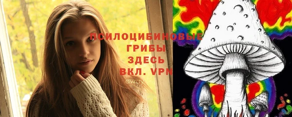 ECSTASY Балабаново