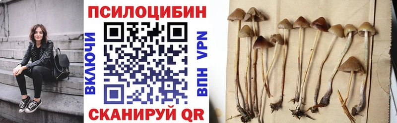 Галлюциногенные грибы GOLDEN TEACHER  закладки  Гусев 