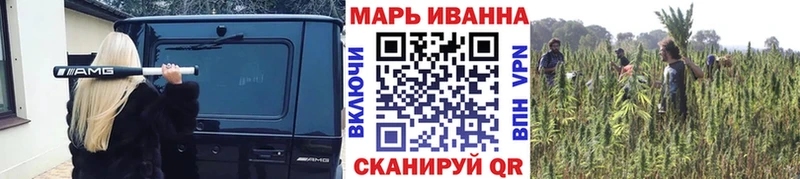 Каннабис гибрид  Гусев 